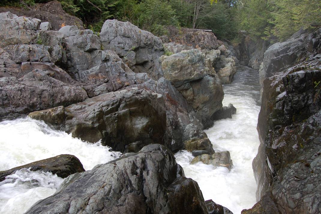 Vancouver Island Wild Salmon River threatened by IPP Wilderness Committee